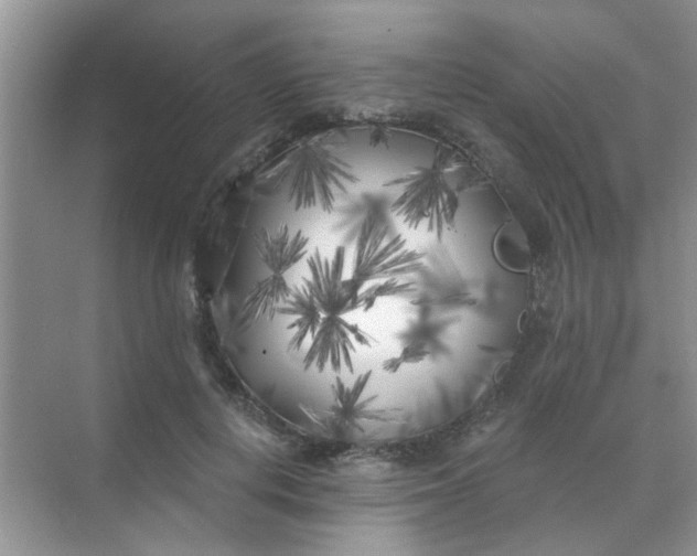 X0000070240648200606161847