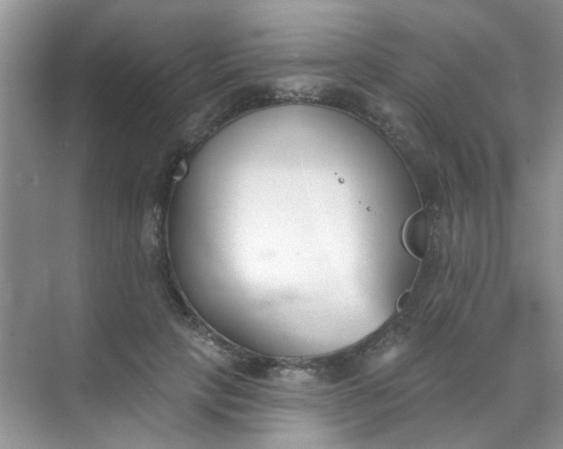 X0000070240649200606161847