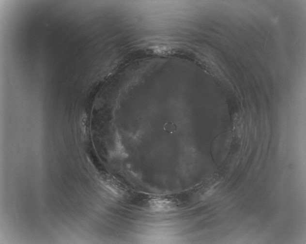 X0000070240650200606161847