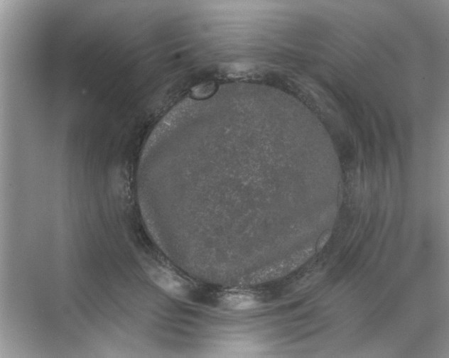 X0000070240653200606161847