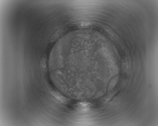 X0000070240654200606161847