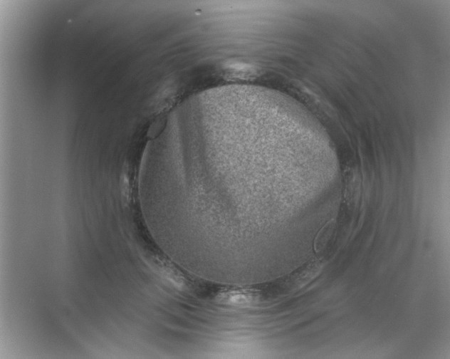 X0000070240655200606161847