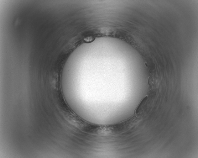 X0000070240656200606161847