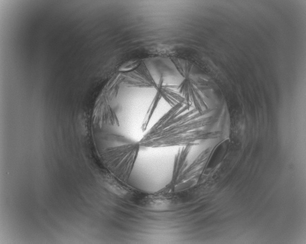 X0000070240658200606161847