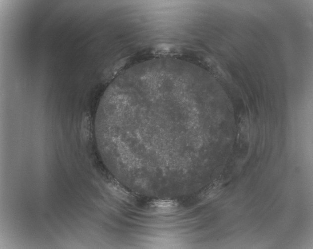 X0000070240659200606161847