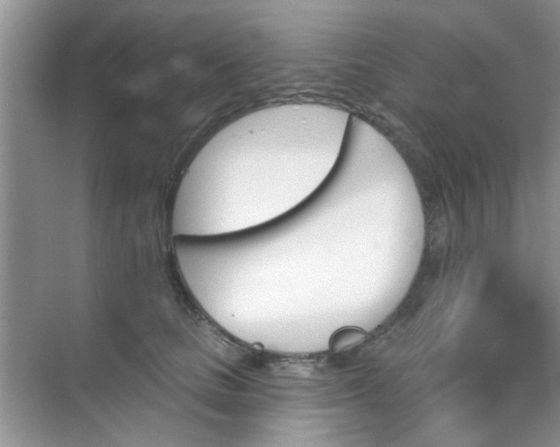 X0000070240661200606161847