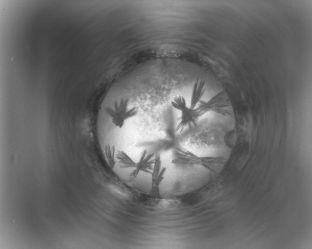 X0000070240663200606161847