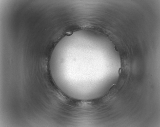 X0000070240664200606161847