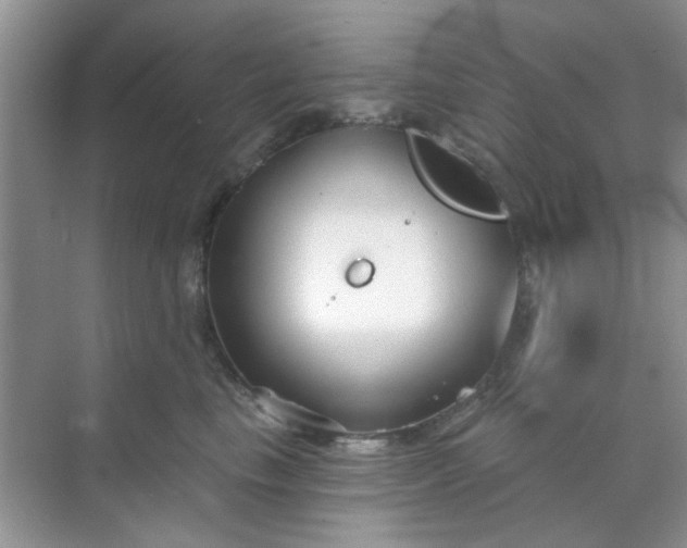 X0000070240665200606161847