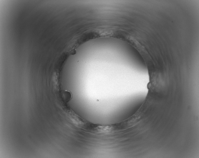 X0000070240667200606161847