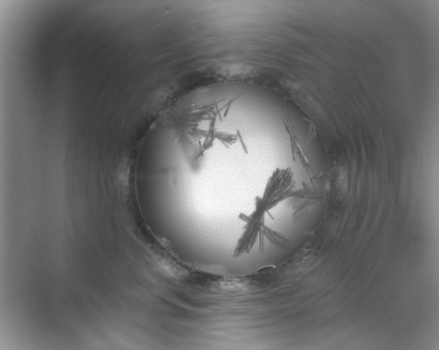 X0000070240668200606161847