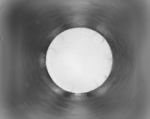 X0000070240672200606161847