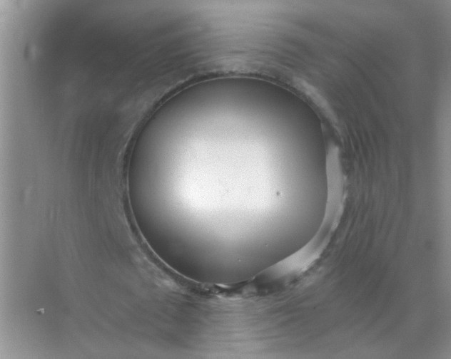 X0000070240673200606161846