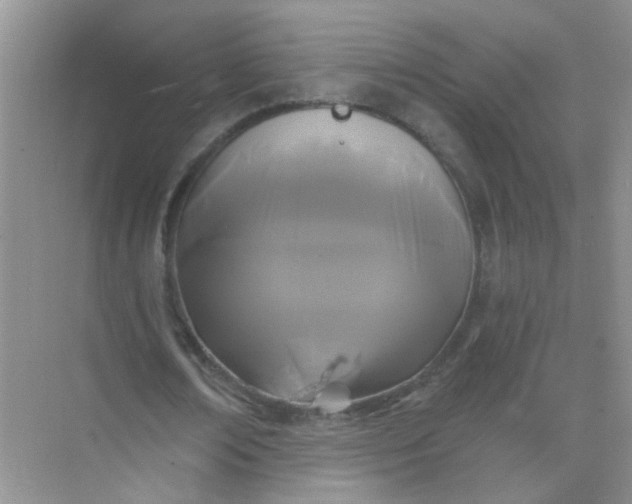 X0000070240674200606161846