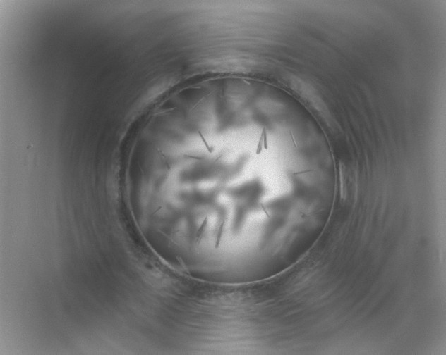 X0000070240675200606161846