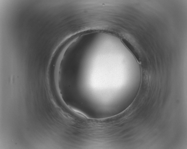 X0000070240676200606161846