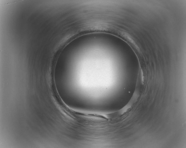 X0000070240677200606161846