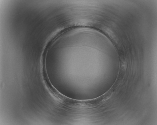 X0000070240678200606161846