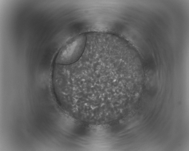 X0000070240679200606161846