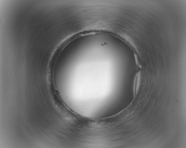 X0000070240680200606161846