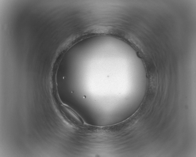 X0000070240682200606161846