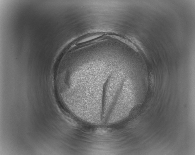 X0000070240684200606161846