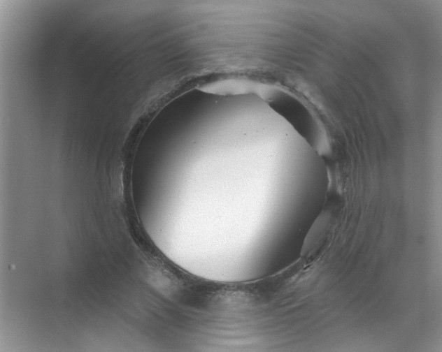 X0000070240685200606161846