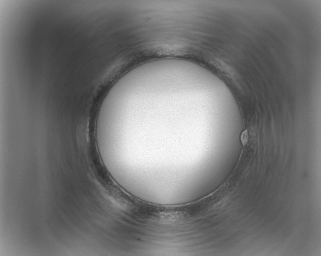 X0000070240686200606161846