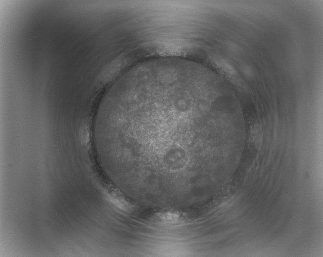 X0000070240687200606161846