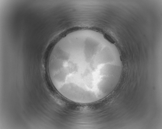 X0000070240688200606161846