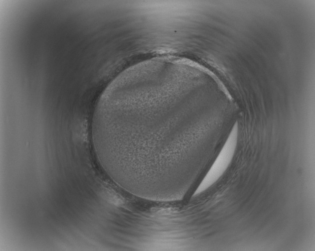 X0000070240689200606161846