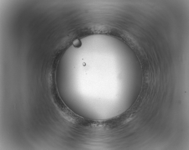 X0000070240690200606161846