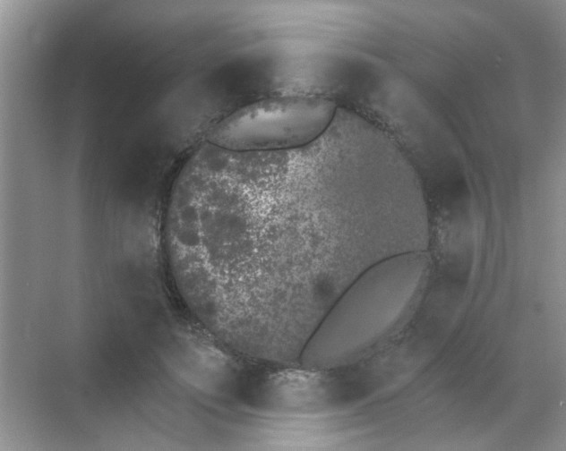 X0000070240691200606161846