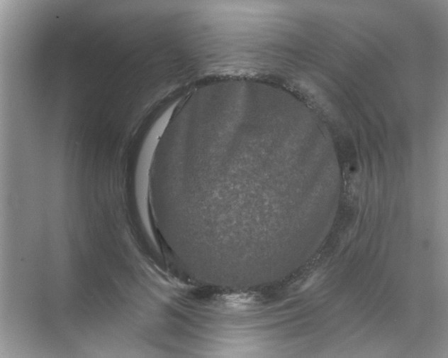 X0000070240692200606161846