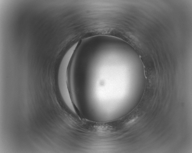 X0000070240693200606161846