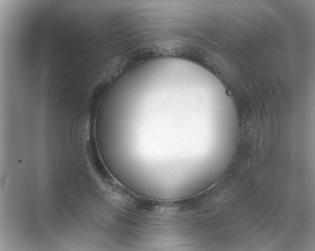 X0000070240694200606161846