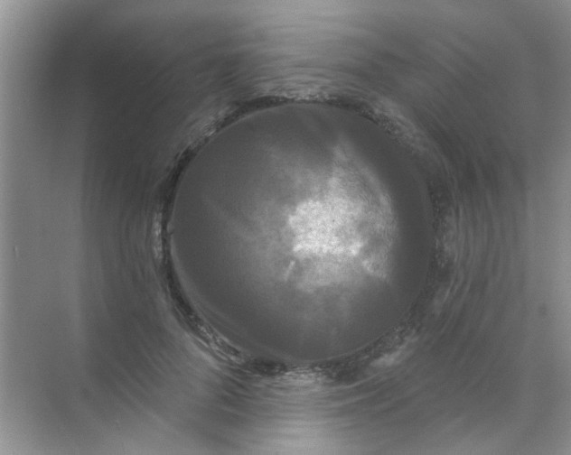 X0000070240696200606161846