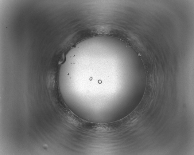 X0000070240697200606161846