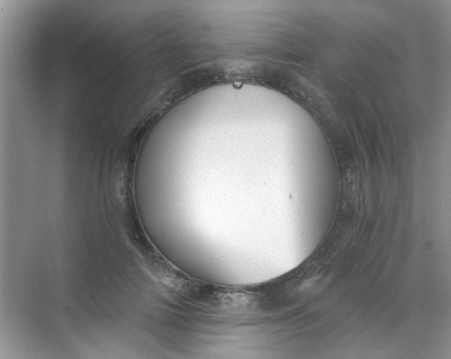 X0000070240698200606161846