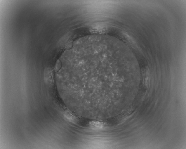 X0000070240699200606161846