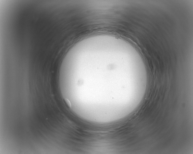 X0000070240701200606161846