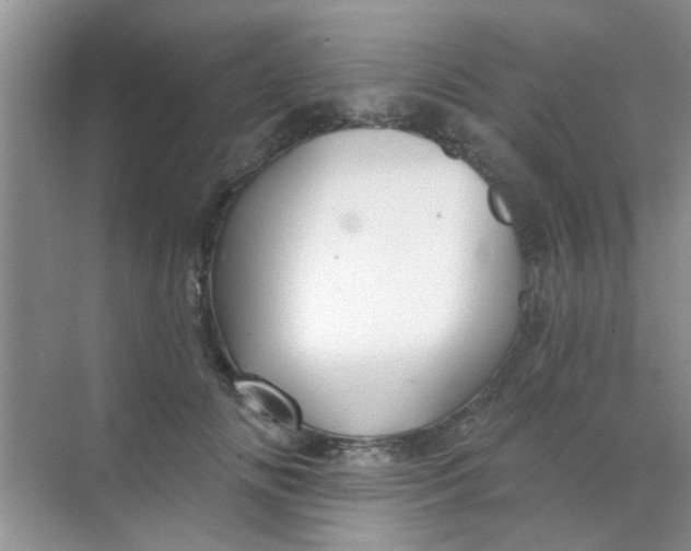 X0000070240702200606161846