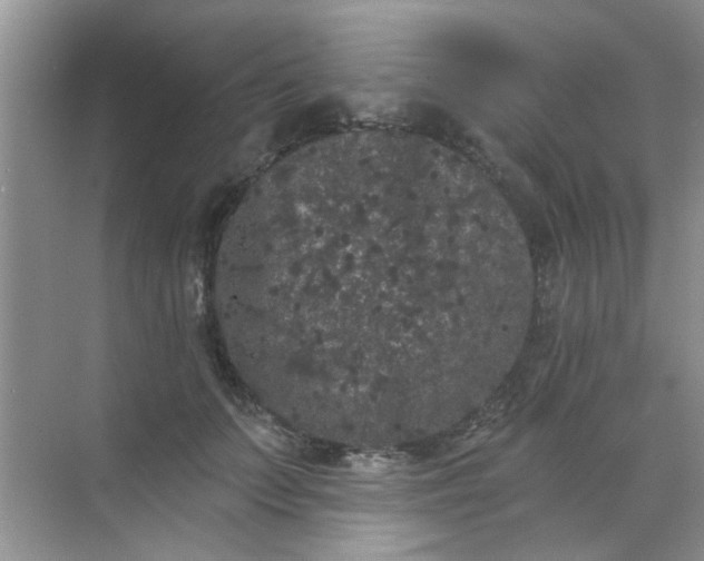 X0000070240703200606161846