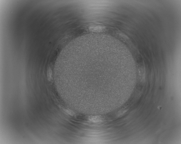 X0000070240705200606161846