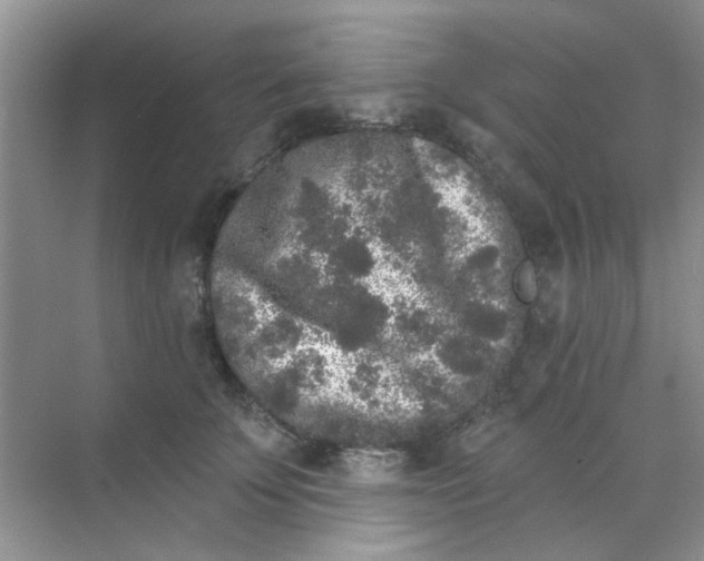 X0000070240707200606161846