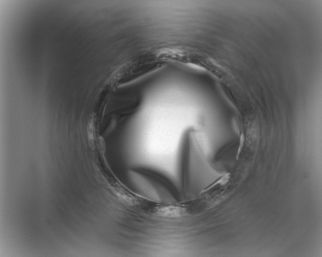 X0000070240708200606161846