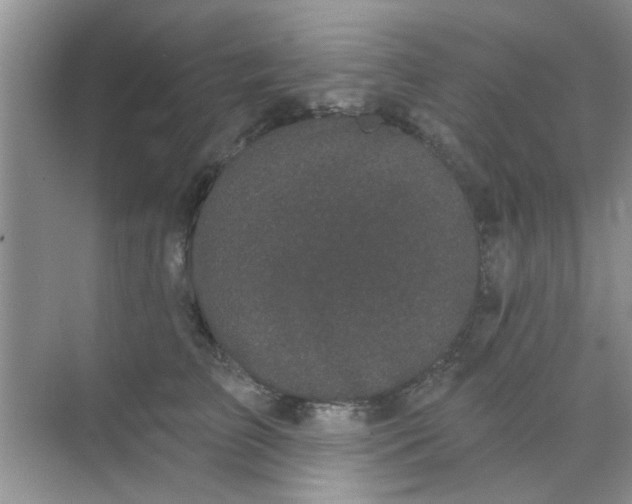 X0000070240709200606161846