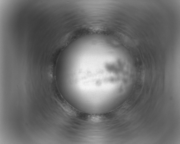 X0000070240710200606161846