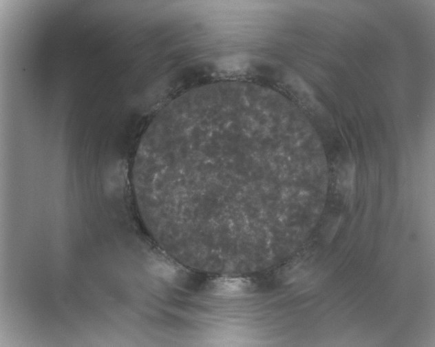 X0000070240711200606161846