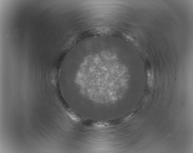 X0000070240712200606161846